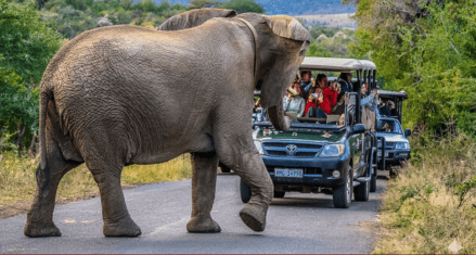Hluhluwe-uMfolozi Game Park